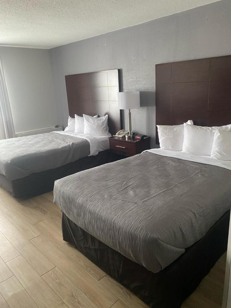 Quality Inn Colchester - Burlington Eksteriør billede