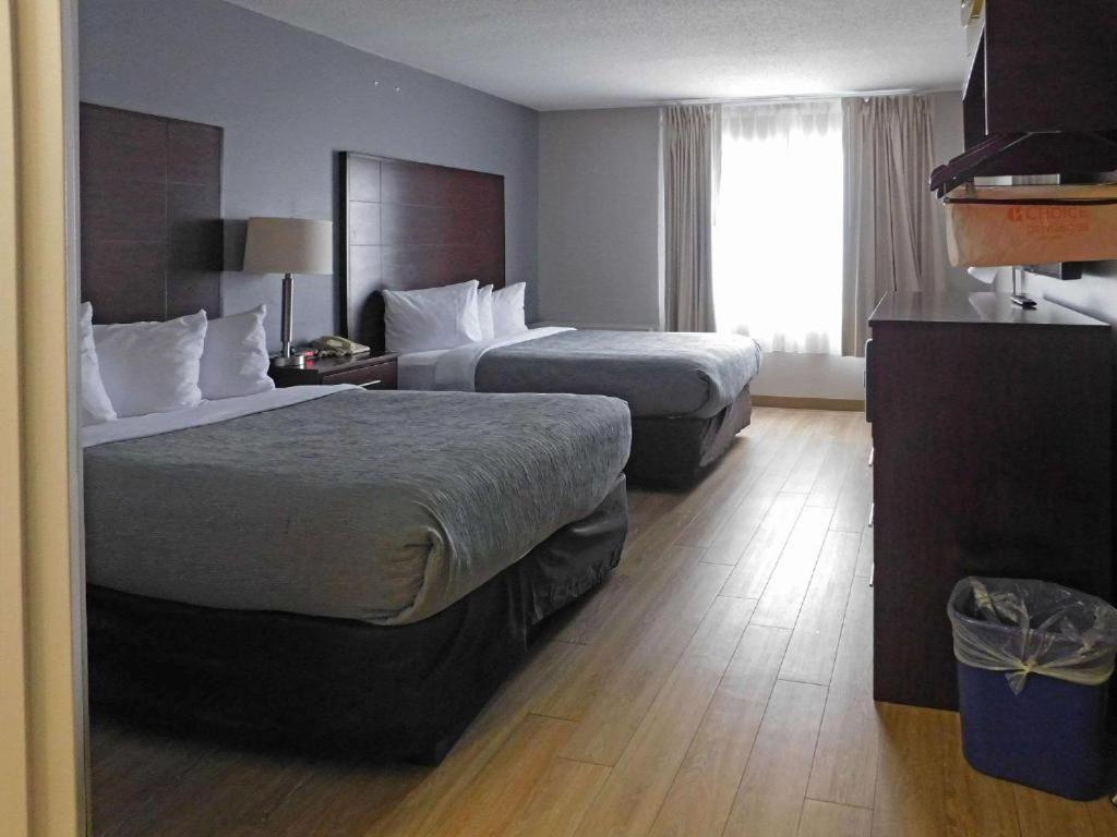 Quality Inn Colchester - Burlington Eksteriør billede