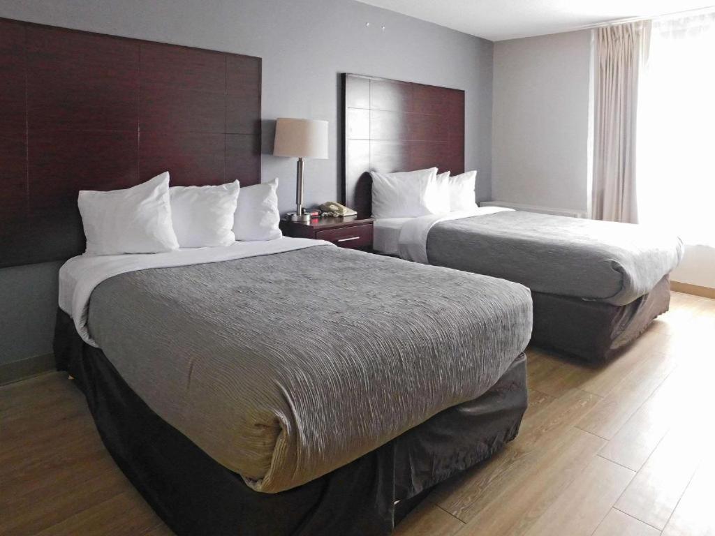 Quality Inn Colchester - Burlington Eksteriør billede